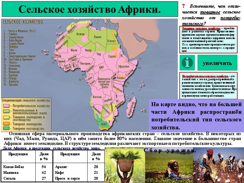 Сельское хозяйство Африки. ?  Вспомните, чем отли-чается товарное сельское хозяйство от потреби-тельского? На